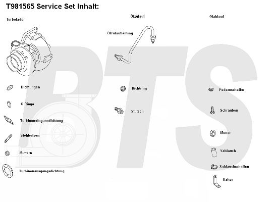 BTS TURBO Компрессор, наддув T981565